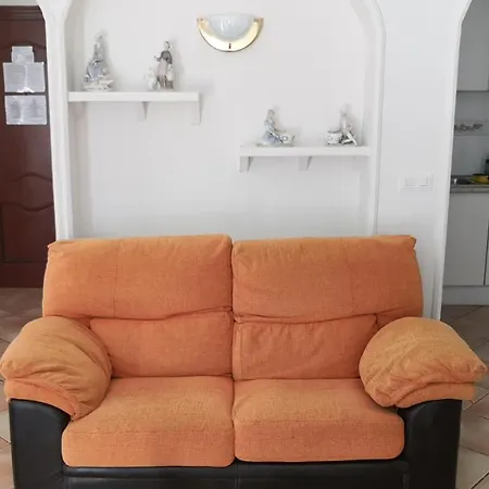 Skol 318c By Completely Marbella